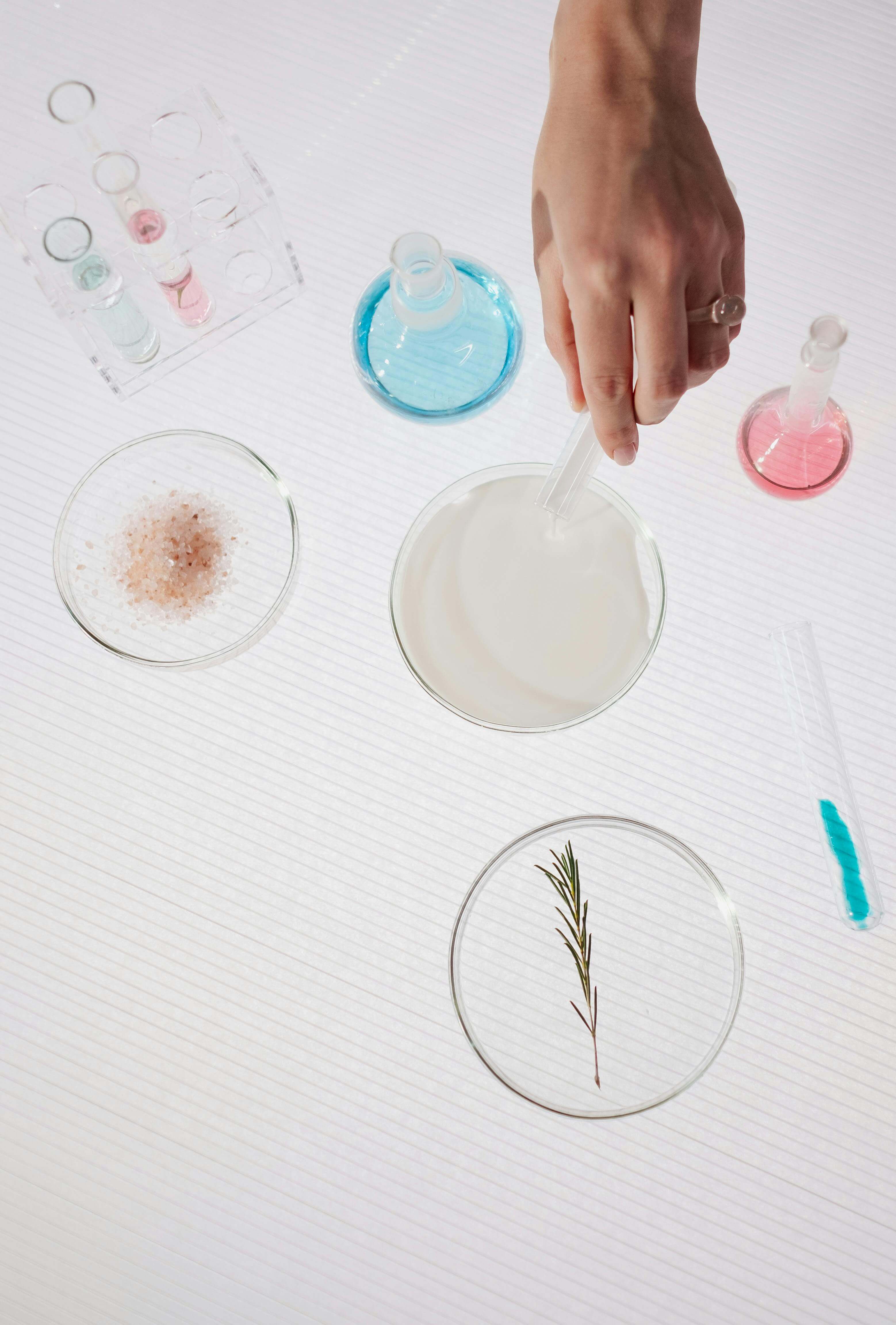 dat-biology-general-chemistry-organic-chemistry-anki-decks-dat-bootcamp